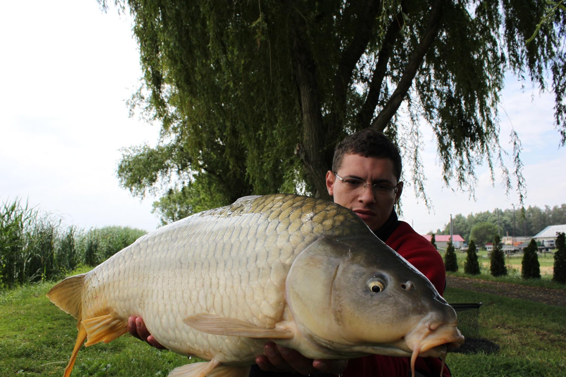 Mv2 Nagykallo - IMG_0724.JPG